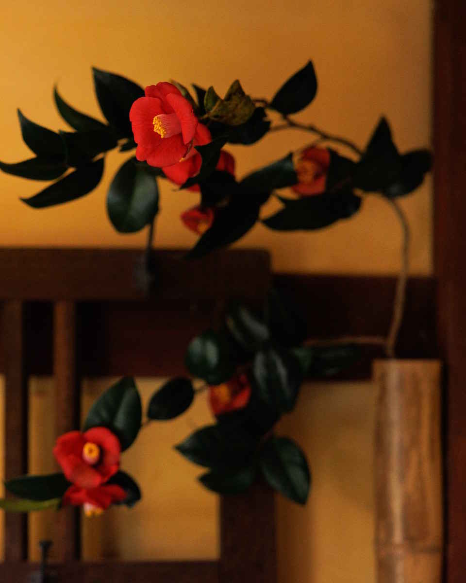 植物が好きなおかみさんが育てたお花が館内にちりばめられてある。